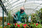 Ricky Williams - Horticulture Manager